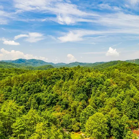 Bearadise Mountain Lodge
